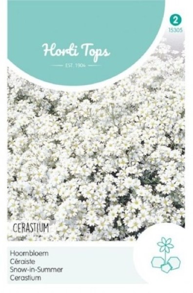 15305 cerastium_500x500